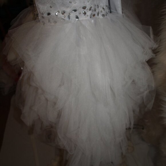 Short DRESS White Tule with Lace Top Size M/L USED4PHOTO SHOOT BY JJ'S House - Picture 6 of 11